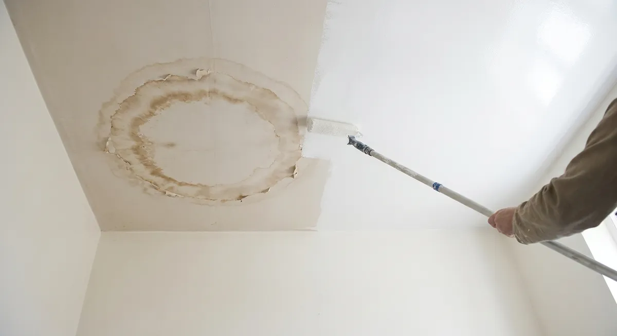 Techo manchado de agua sellado con primer bloqueador de manchas antes de pintar